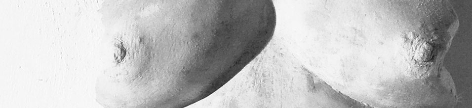 encabezado-matenidad-busto-patricia-paula